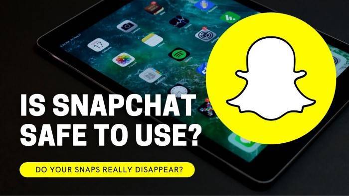 Security Issues and Privacy Concerns